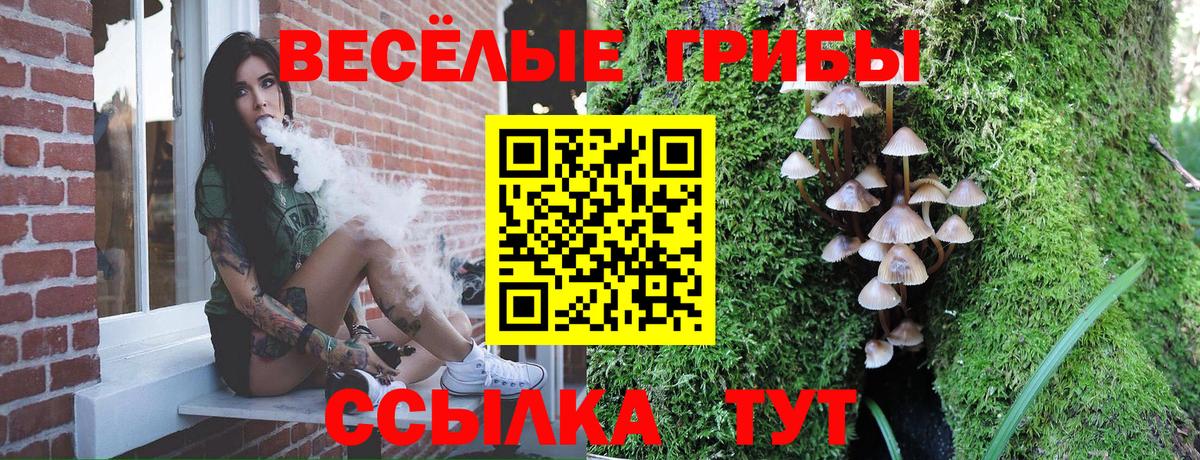 Аксай  Галлюциногенные грибы MAGIC MUSHROOMS  Вход с VPN  Псилоцибиновые грибы Psilocybine cubensis 